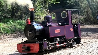 quotANNEquot EXMOOR STEAM RAILWAY BUILT 062 TANK ENGINE AT WORK ON THE PERRYGROVE RAILWAY [upl. by Eseilana]