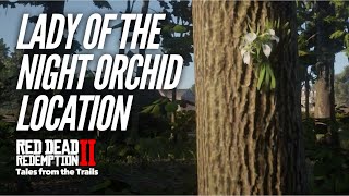 Red Dead Redemption 2 Lady of the Night Orchid Multiple Location [upl. by Ayat]