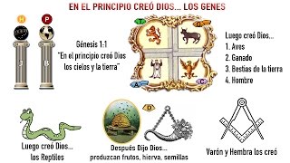 La Biblia es Ciencia ADN  El misterio de los 4 seres viviente ACGT [upl. by Galina]