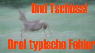 3 typische Fehler auf der Jagd [upl. by Jorgan]