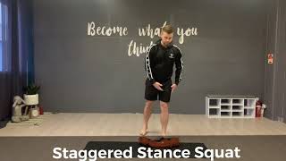 Staggered Stance Squat [upl. by Naitsabes270]