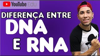 Aula 29 Diferenças entre DNA e RNA  Biologia com Patrick Gomes [upl. by Yla66]