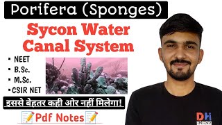 Water Canal System Of SpongesPorifera  Sycon Canal System  By Dadhich Sir [upl. by Baese]