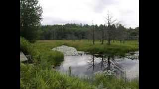 Native AmericanAmerican History of MassachusettsMishalisk Mother of the Valley [upl. by Sperry]