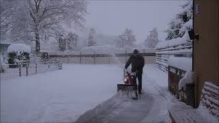 2023 12 02 SCHNAUZERL versinkt im SCHNEE [upl. by Annaeg]