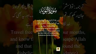 Surah Tawbah qurankitilawat foryou shortvideo [upl. by Romain25]