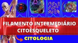 CITOESQUELETO  FILAMENTO INTERMEDIÁRIO  ESTRUTURA FORMAÇÃO E FUNÇÃO  ENSINO SUPERIOR  CITOLOGIA [upl. by Gabriello]