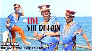 Live Vue de Loin en Durban Alobisi mundele Lingala Vue de Loin 2019 Somo somo [upl. by Guyon26]