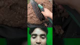 Esh bande ko kuch ajibsha dikai deta hai factsreaction shortvideo factfinder reaction viral [upl. by Cleveland]