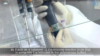 PCR Master Mix preparation and RTPCR [upl. by Dickie]