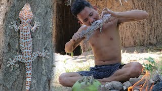 Primitive Technology  Find food Gecko  Lizard  In forest  Cooking Gecko with Coconut [upl. by Ermanno]