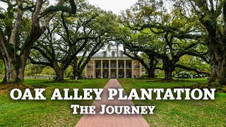 We Visited A Plantation  Oak Alley Plantation Louisiana [upl. by Asseral843]