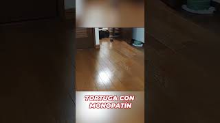 TORTUGA se hace VIRAL por ir en MONOPATĆ¨N [upl. by Aleacin341]