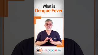 Dengue Fever Symptoms Causes and How to Protect Yourself  Hi9 [upl. by Dyana]