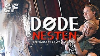 DØDE NESTEN i HOLLYWOOD  ReiseVlogg med EF Las Vegas amp Malibu [upl. by Rodie]