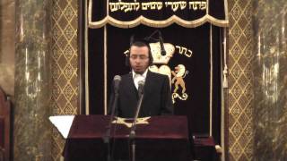 Cantorial Concert Yaakov Yosef Stark Singing quotMisratze Berachamimquot Watch in HD  16 [upl. by Marita]