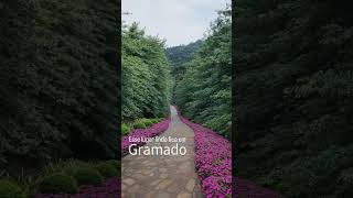 Um lugar para amar em Gramado Garden Park [upl. by Janeczka]