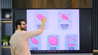 Physiology 2 Transport across cell membrane  Rapid Revision [upl. by Fital]