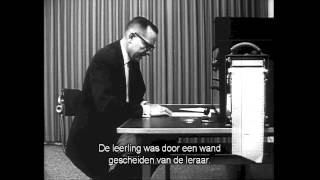 Milgram Experiment  Big History NL threshold 6 [upl. by Nawd]