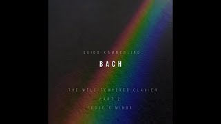 Guido Kämmerling  Bach Fuge cmoll [upl. by Bal]