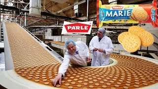 Biscuit Manufacturing Process  Parle G देखिये Factory में कैसे बनायी जाती है [upl. by Oniluap]