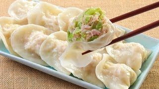 Chinese Dumpling Guide 11 MUST TRY Dumplings [upl. by Batha]