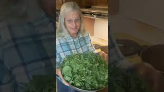 How to cook fresh turnip greens [upl. by Aisatsana]