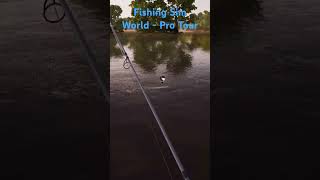 Todays Fishing Adventure  Fishing Sim World Pro Tour Fishing from the sofa fishing gaming [upl. by Radford]