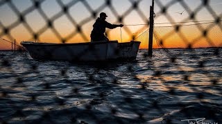 Chesapeake Bay Pound Netting [upl. by Adnawed344]