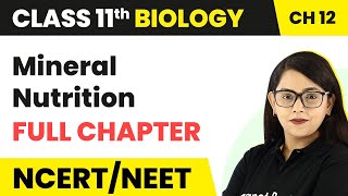 Mineral Nutrition  Full Chapter Explanation  Class 11 Biology Chapter 12  NCERTNEET [upl. by Eciuqram]