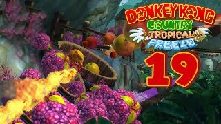 DONKEY KONG COUNTRY TROPICAL FREEZE 🍌 19 Fruchtige Geschmacksexplosion im Raketenfass [upl. by Coffin743]