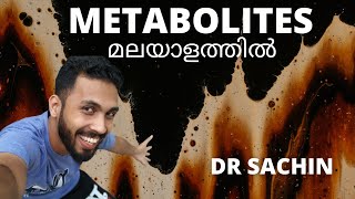 metabolites  biomolecules  malayalam  primary and secondary metabolites  knowledge vlogger [upl. by Conrade]