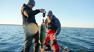 16 lb Biggest Bass EVER Caught on Film in Texas [upl. by Tiff]