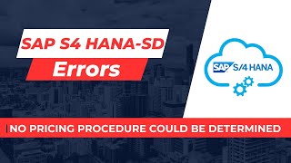 SAP S4 HANA SD Error  No Pricing Procedure could be Determined [upl. by Eibbil]