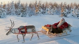 Rentierschlittenfahrt des Weihnachtsmannes Lappland Finnland Rovaniemi Reisevideo Santa Claus [upl. by Weissmann]