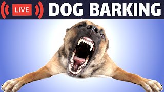 Dog Barking Sound  Dogs Barking Live Bark [upl. by Joette221]