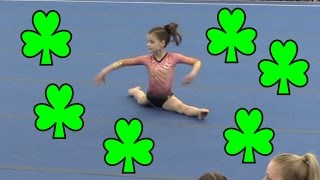 Harford Trophy Meet 2017  Hayley LeBlanc  Level 3 6 [upl. by Parris]