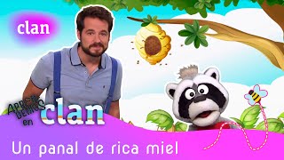 ¡Aprendemos en Clan UN PANAL DE RICA MIEL vídeos educativos  Clan TVE [upl. by Ibrik]