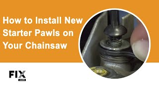 CHAINSAWHOW TO INSTALL NEW STARTER PAWLSFIX [upl. by Yaakov]