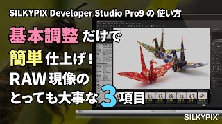 基本調整だけで簡単仕上げ！ ～RAW現像のとっても大事な基本調整3項目～【SILKYPIX Developer Studio Pro9の使い方】 [upl. by Archangel]