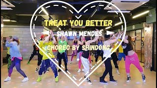 I LOVE ZUMBA  Treat You Better Ashworth Remix  Shawn Mendes  CHOREO BY SHINDONG [upl. by Acireit718]