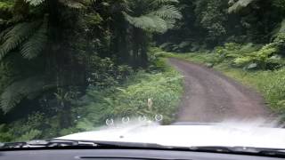 Border Ranges National Park 2016 [upl. by Aikim]