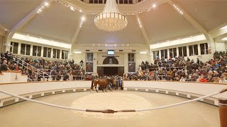 Tattersalls December Mares Sale 2024 [upl. by Cogen482]