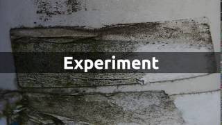 How to pronounce experiment in English [upl. by Hoyt465]