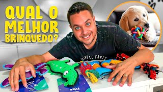 Qual é o melhor BRINQUEDO para GOLDEN RETRIEVER [upl. by Atlee]