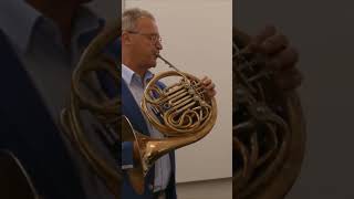 Canon in D horn shorts music [upl. by Adamok]