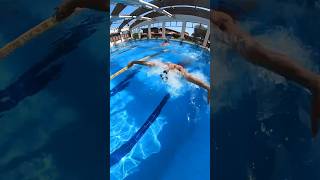 nuoto swimming swimmers competitiveswimming nuotoagonistico swimmingpool butterfly delfino [upl. by Bayless]