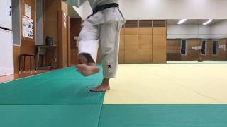 How to practice JUDO step [upl. by Jasun]