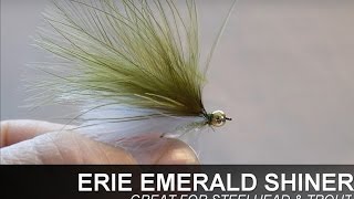 ERIE EMERALD SHINER FLY  STEELHEADTROUT FLY [upl. by Cammi869]