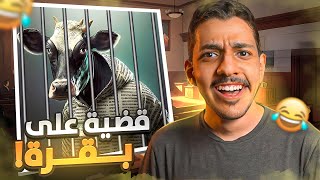 رفع قضية على بقرة 😂 اغرب قضايا في التاريخ [upl. by Nwahsel708]